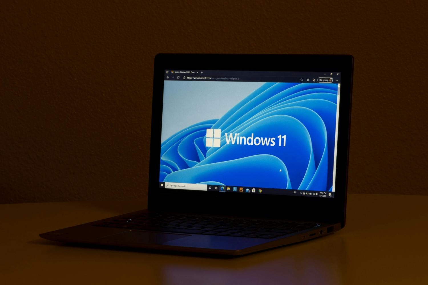 Installation: Windows 11